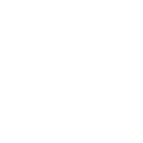original icon