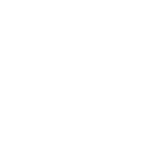 neon icon